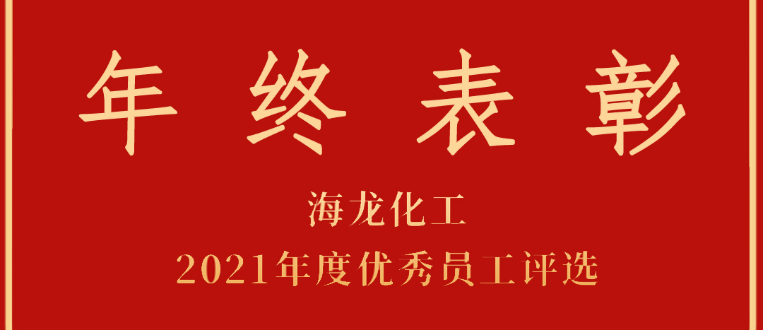 <strong>表彰！海龍化工2021年度優(yōu)秀員工優(yōu)秀部門評選</strong>